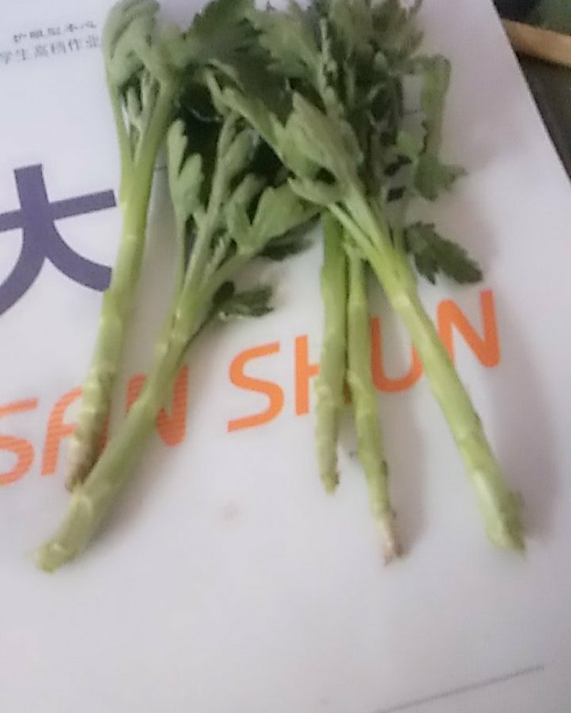 菊花苗