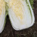 黄心白菜