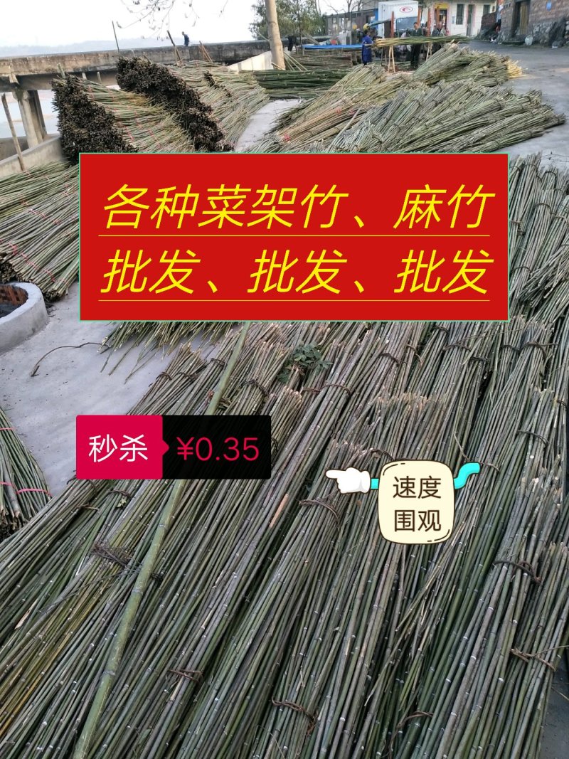菜架竹，麻竹，水竹，各种支撑，晒板竹，金竹
