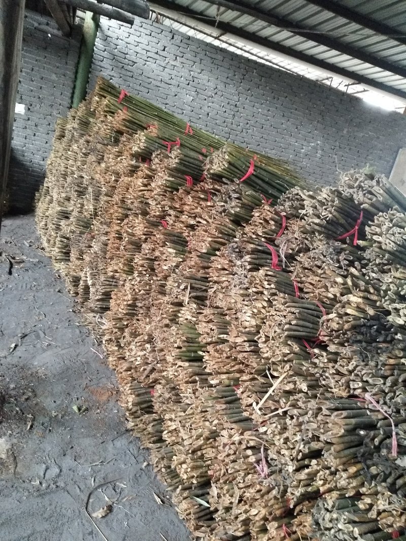 菜架竹，麻竹，水竹，各种支撑，晒板竹，金竹