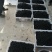 新鲜桑葚产地代办代发货保质保量诚信合作可实地考察视频看货