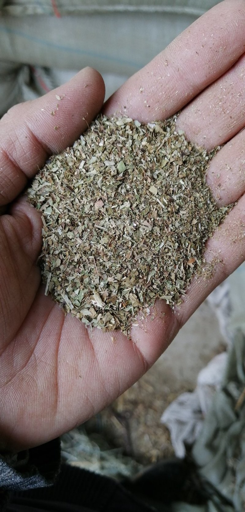 花生秧碎叶，蛋白含量高，可以视频看货