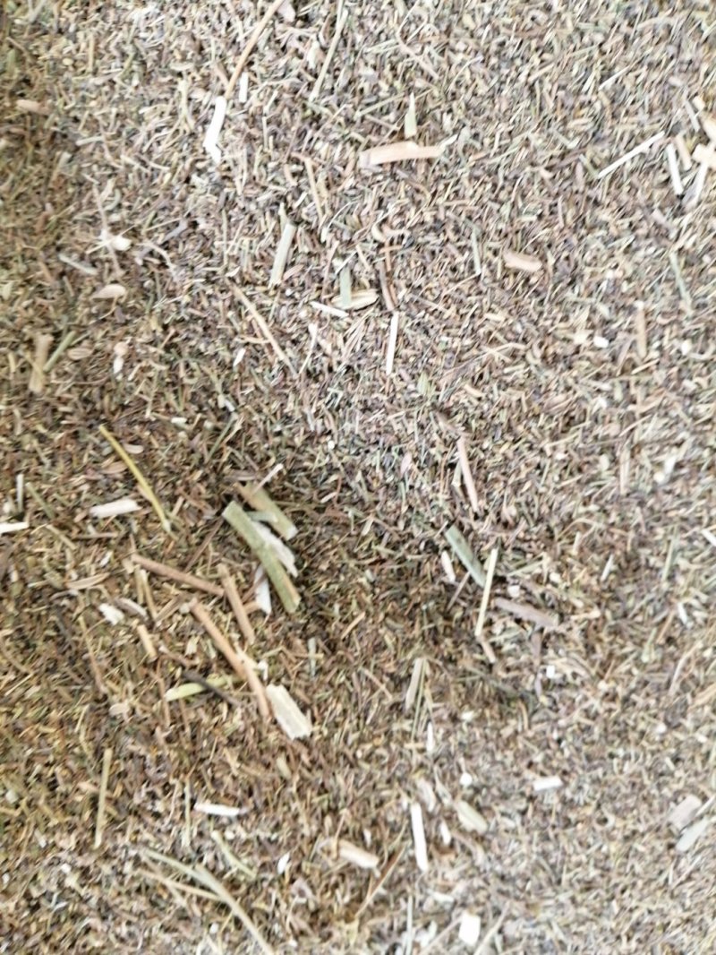 草粉盐碱茴香草粉