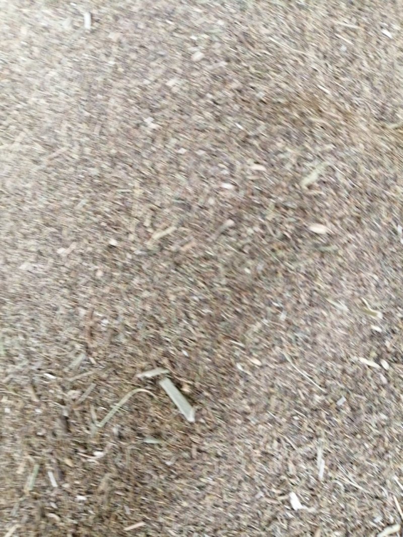 草粉盐碱茴香草粉