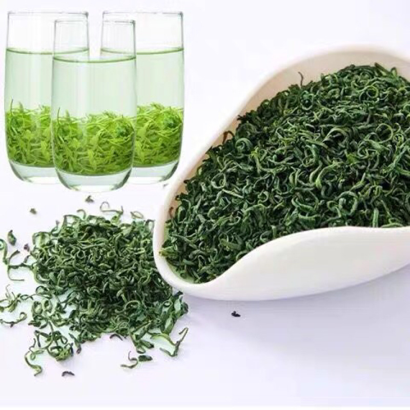 2020新茶叶绿茶毛尖茶高山云雾茶日照充足春茶