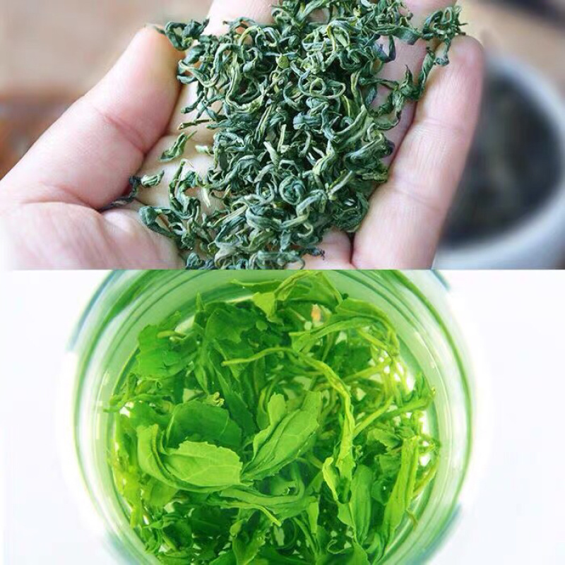 2020新茶叶绿茶毛尖茶高山云雾茶日照充足春茶