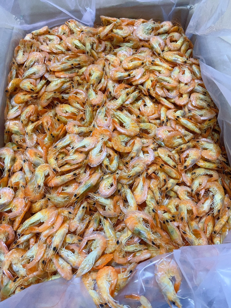 虾干批发即食小烤虾干海产零食虾干对虾