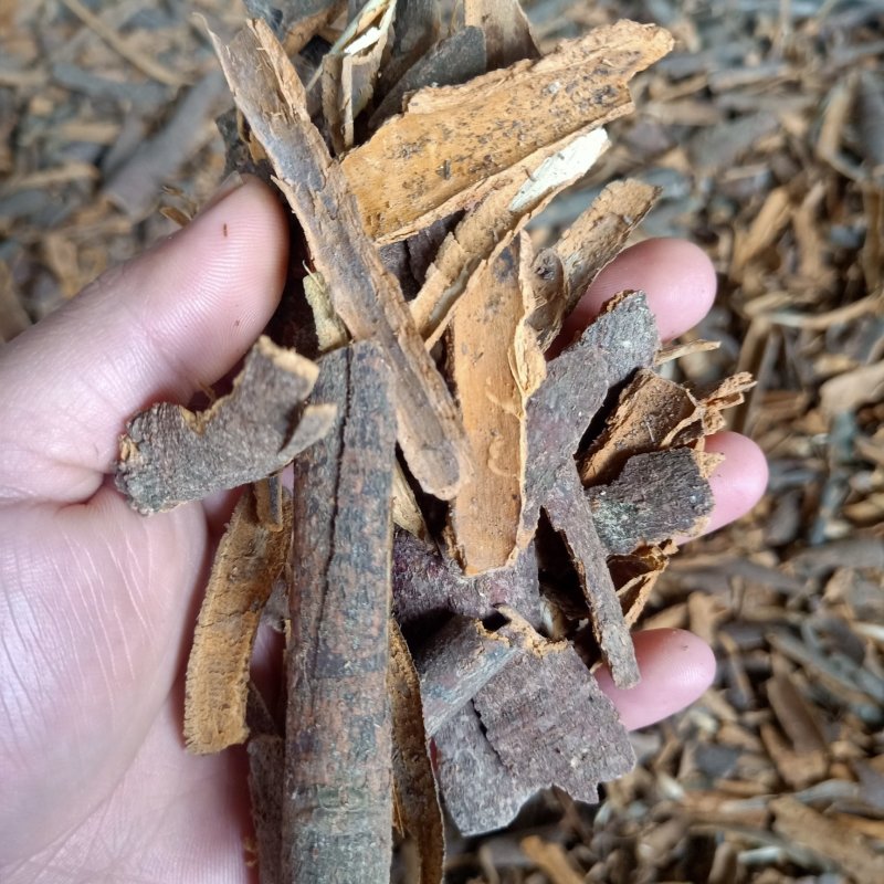 玉桂，桂皮，肉桂，，，，