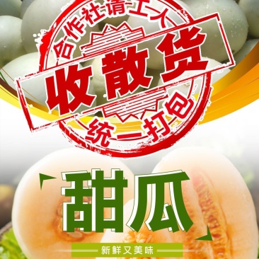 东方蜜1号1斤以上精品，基地直销，代发全国