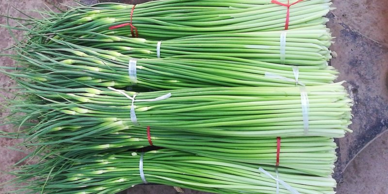 亳州市谯城区张店乡白帽蒜苔小量上市了，一次合作，终生朋友