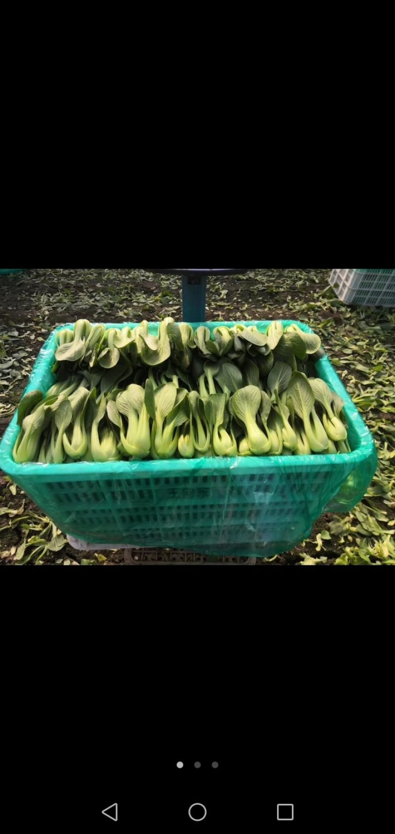 全国各地配送，欢迎新老客户常年有货，永不断货。