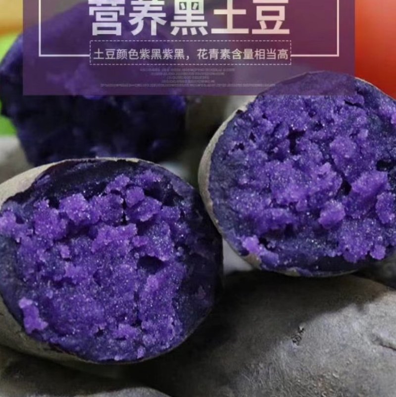山东新鲜黑金刚土豆大量上市。产地直销。支持一件代发