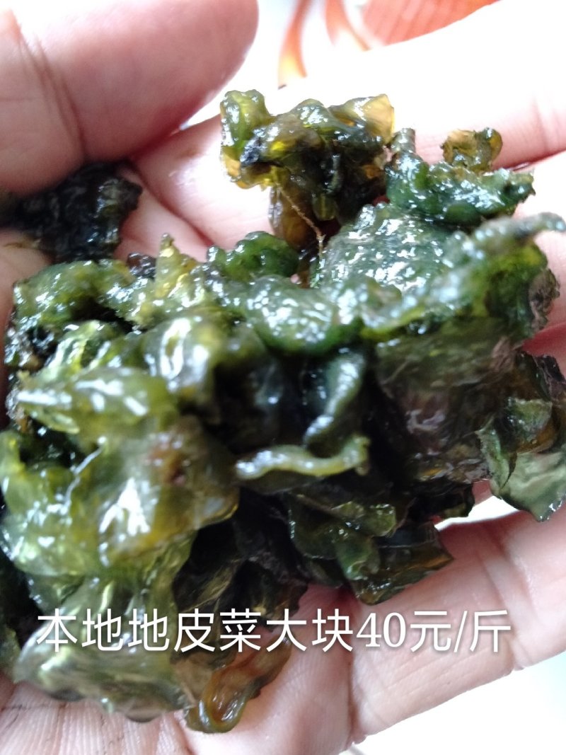 大量批发优质免洗地皮菜批发