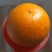 包邮超品质夏橙！电商传供一件代发！整车批发及代办！