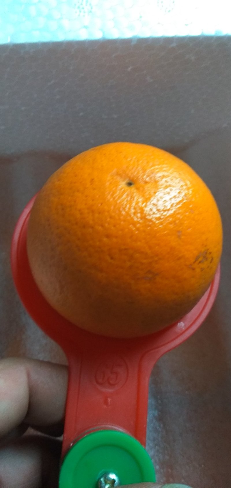 包邮超品质夏橙！电商传供一件代发！整车批发及代办！