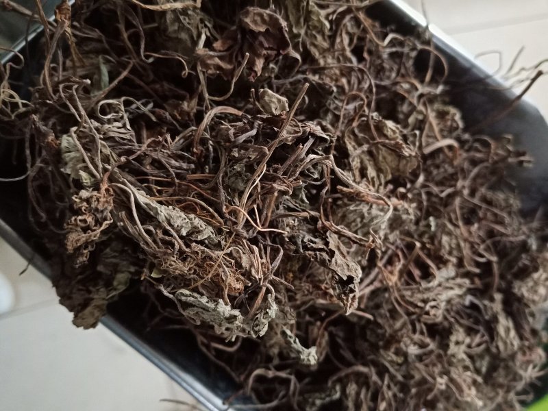 青天葵一斤包邮中药材批发零售各种规格中药材
