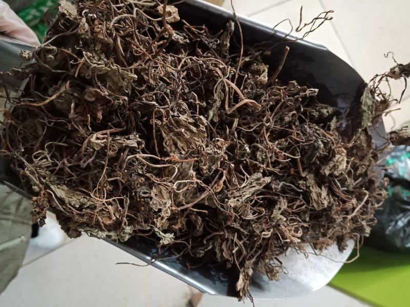 青天葵一斤包邮中药材批发零售各种规格中药材