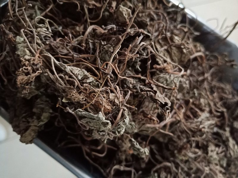 青天葵一斤包邮中药材批发零售各种规格中药材