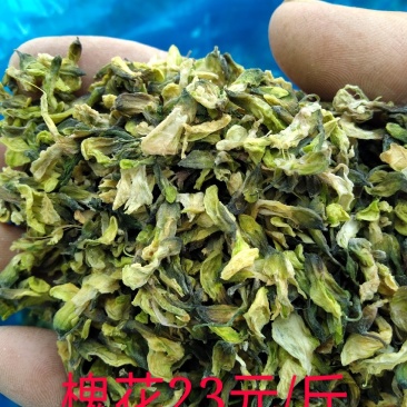 大量批发优质干洋槐花