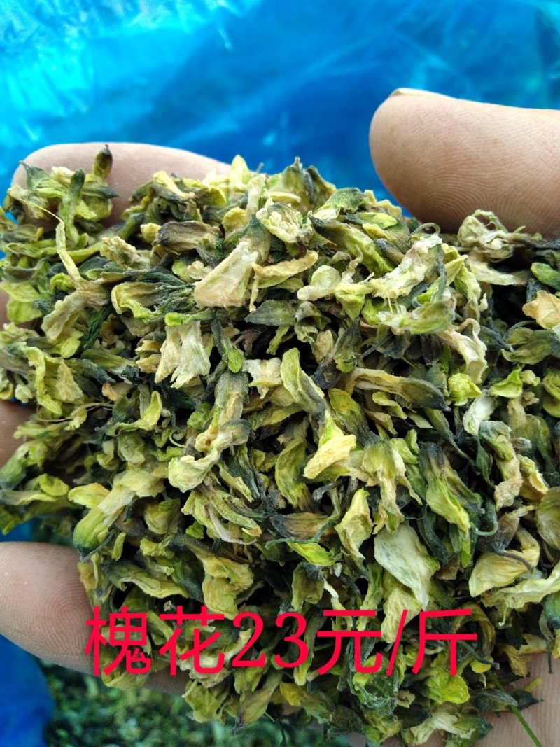 大量批发优质干洋槐花