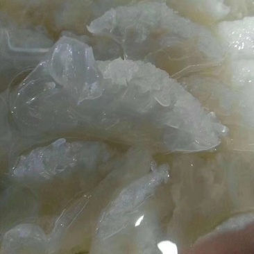 天然海蜇小花