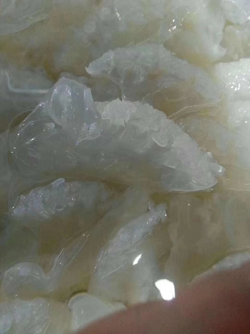 天然海蜇小花