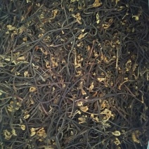 大量批发优质蕨菜干批发