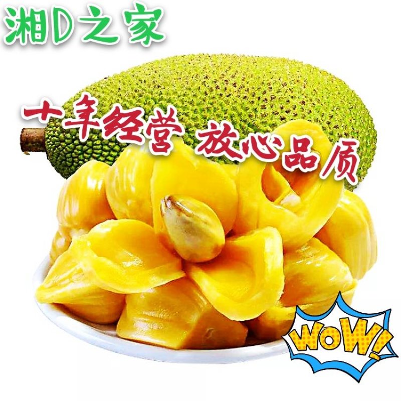 【招代理】海南黄肉菠萝蜜35-40斤支持各平台一件代发。