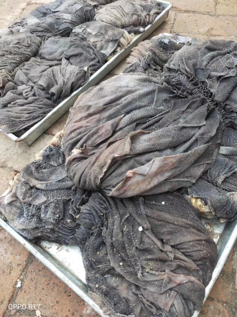 牛百叶个大纯干，根据要求去油，可发样品，看视频