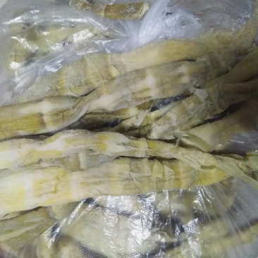 大量批发发山竹笋，石笋，盐笋批发