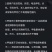 生态甲鱼78元一只包邮，适合放养外塘水库，也可以吃。