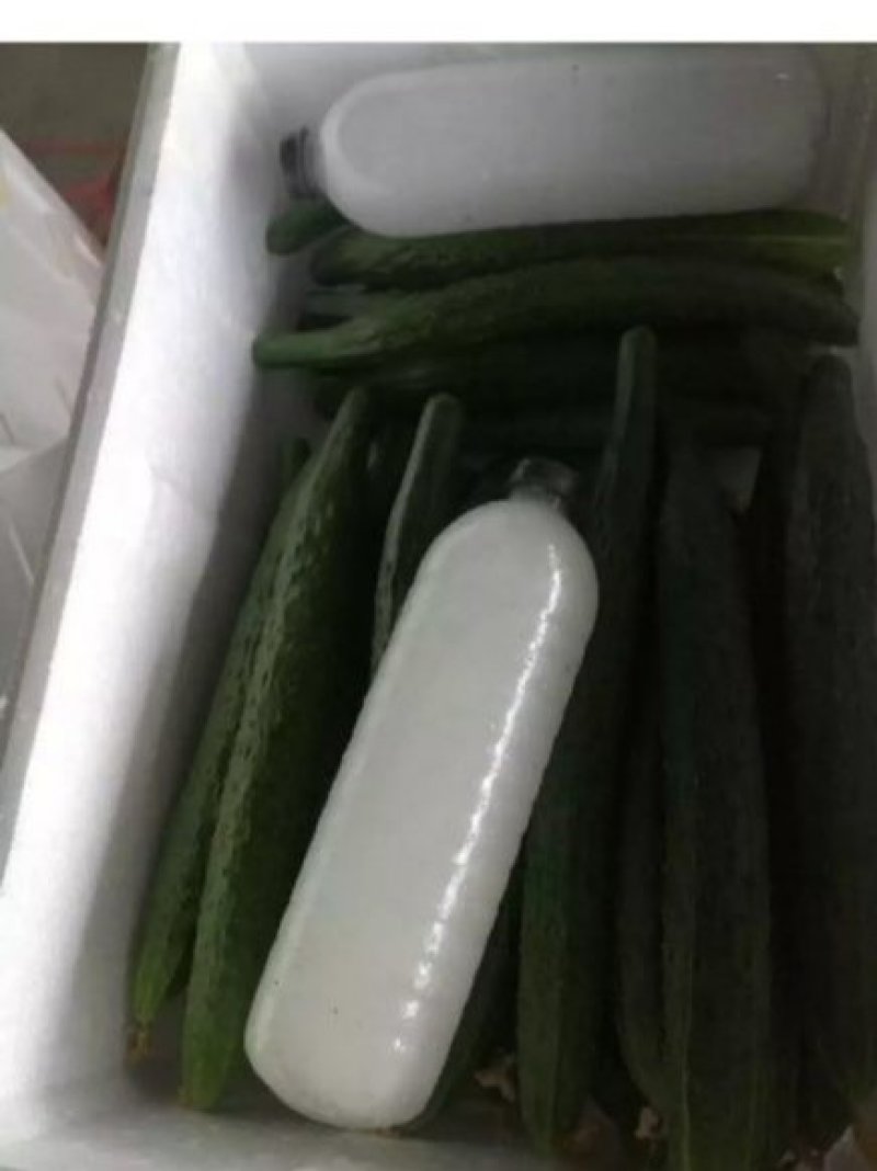 万亩精品密刺黄瓜交易中心质量好，商超直供保质保量对接