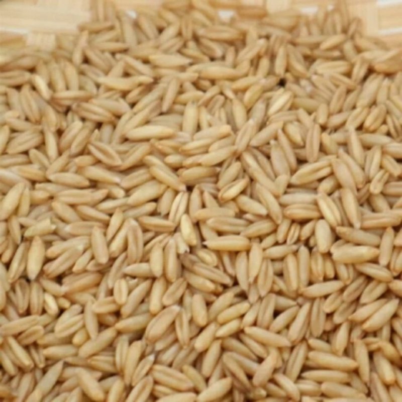 燕麦米