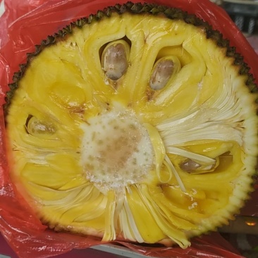 菠萝蜜