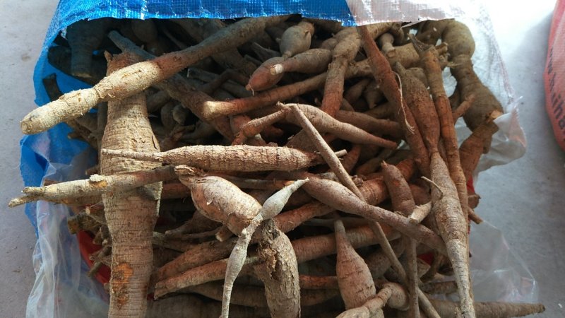 中药材野生牛大力