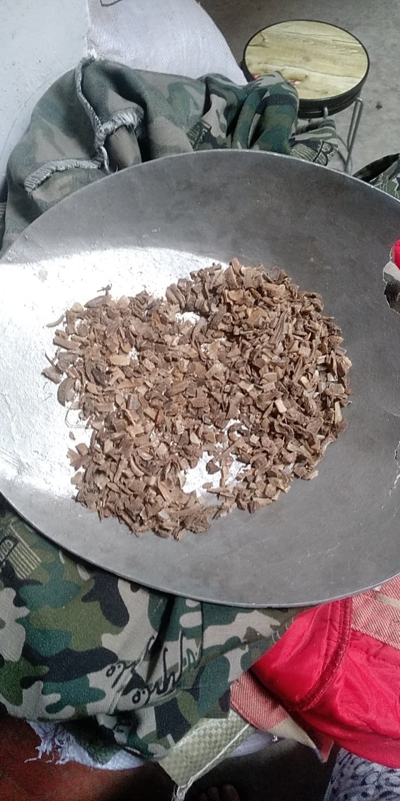 温郁金