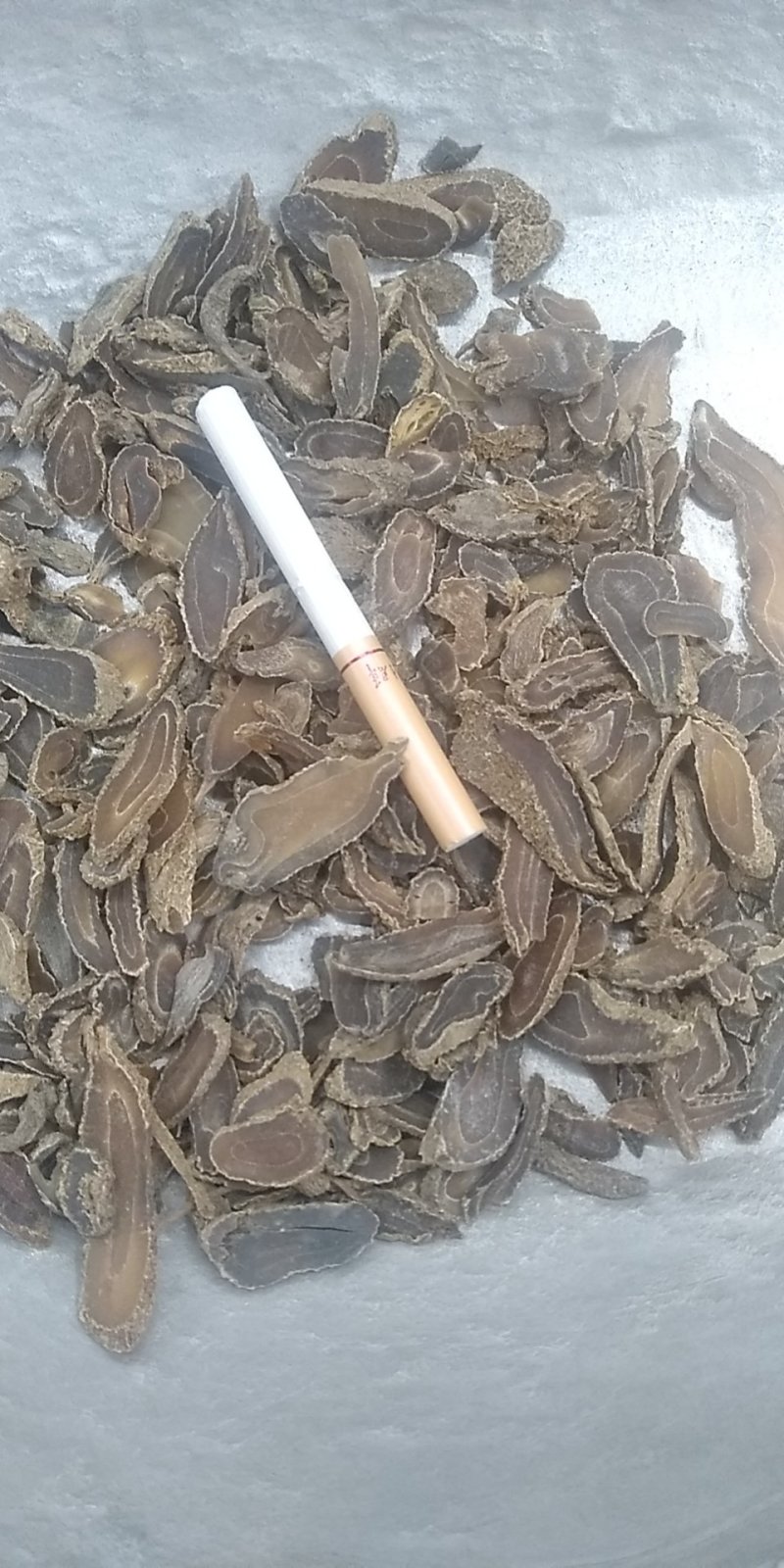 温郁金