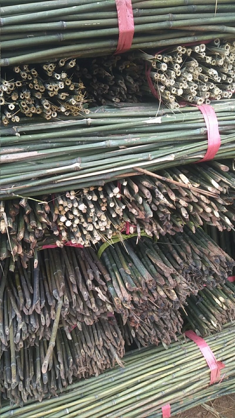 湘南竹木两米二95~100根菜架竹，火龙果撑现货批发