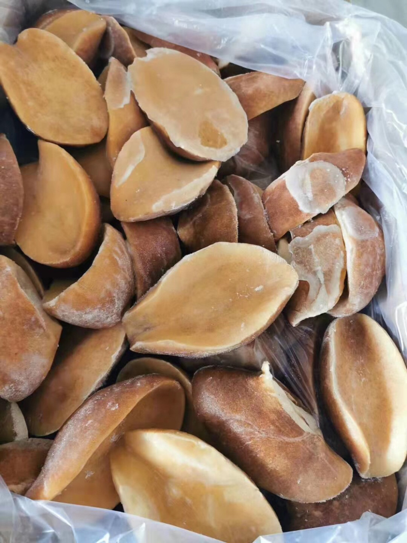黄金鲍澳鲍塞内加尔黄金鲍