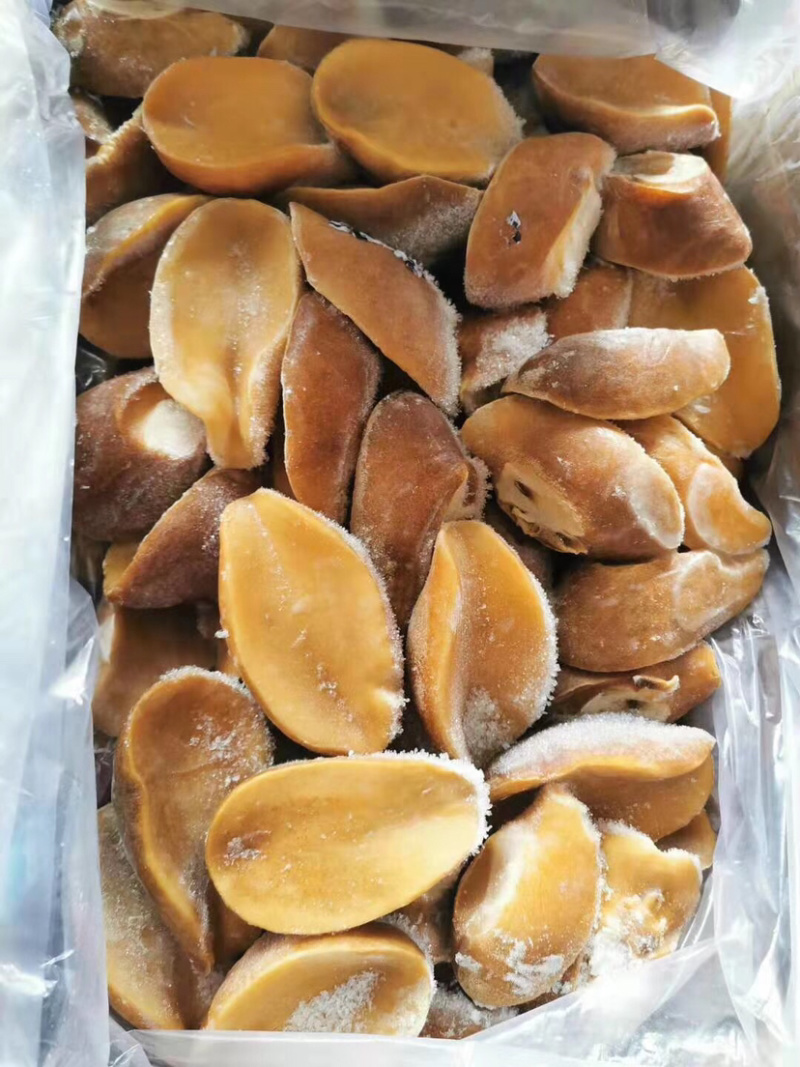 黄金鲍澳鲍塞内加尔黄金鲍