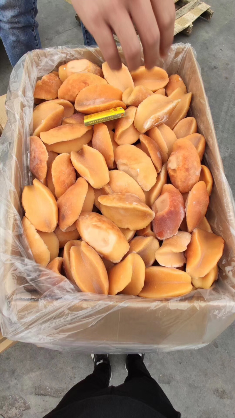 黄金鲍澳鲍塞内加尔黄金鲍