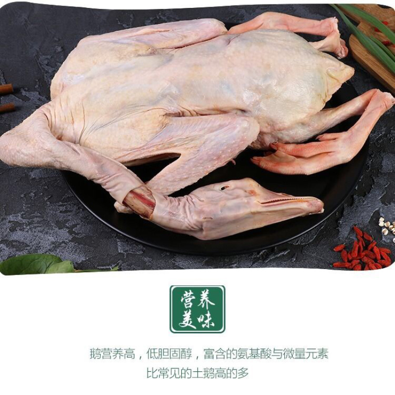 农家散养大白鹅整只鹅新鲜鹅肉炖大鹅土鹅一件代发