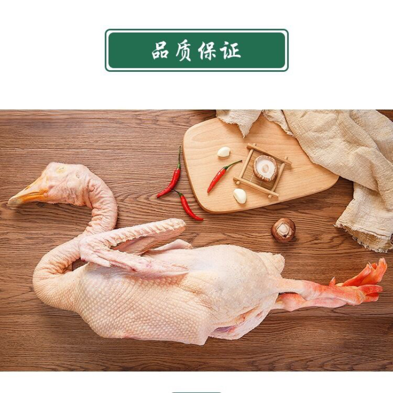 农家散养大白鹅整只鹅新鲜鹅肉炖大鹅土鹅一件代发