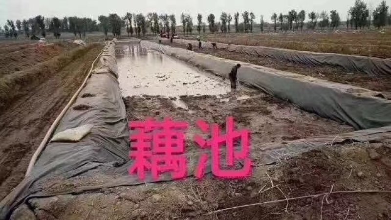 水产养殖土工膜蓄水池土工膜垃圾填埋场土工膜厂家直销