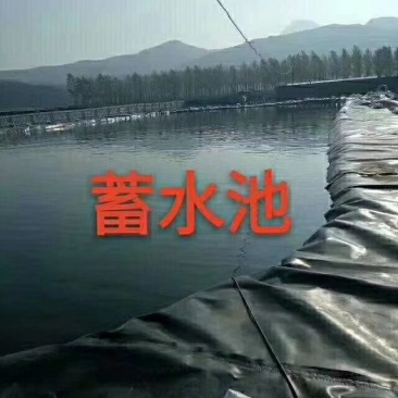 水产养殖土工膜蓄水池土工膜垃圾填埋场土工膜厂家直销