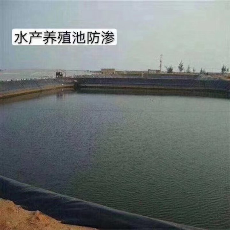 水产养殖土工膜蓄水池土工膜垃圾填埋场土工膜厂家直销