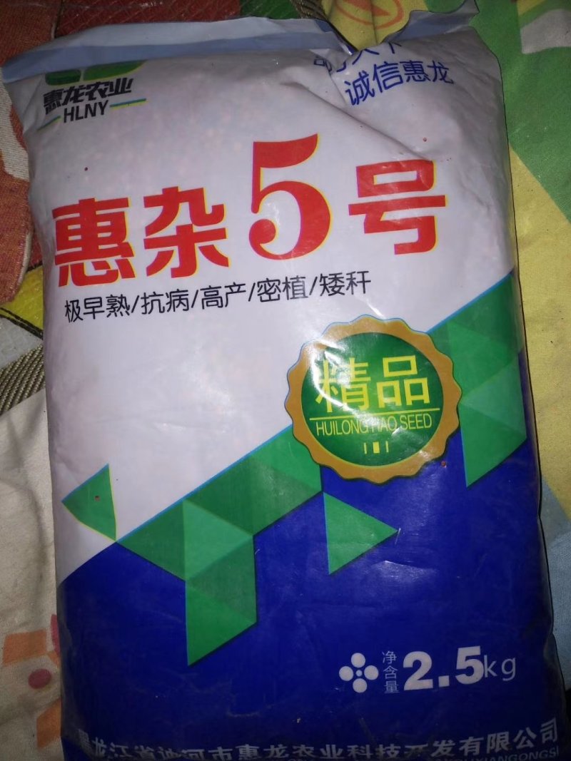 矮秆高产酿酒专用高产糯高粱种子红糯9号品种