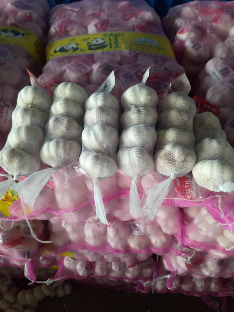 优质红皮大蒜，个头大均匀皮色好！保质保量！产地直销价格低