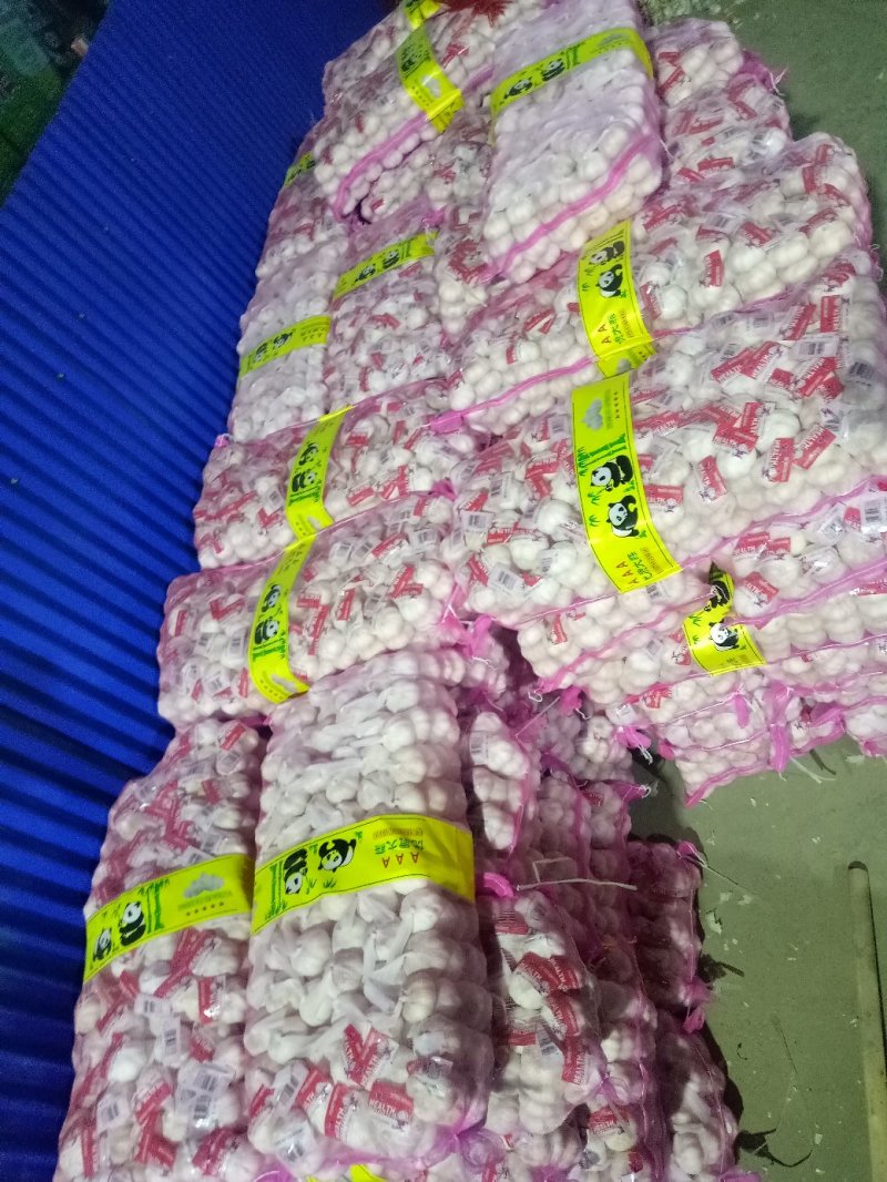 优质红皮大蒜，个头大均匀皮色好！保质保量！产地直销价格低