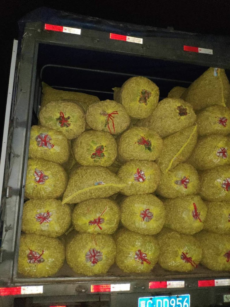 精品大白沙花生上市啦一手货源产地直供可以视频看货